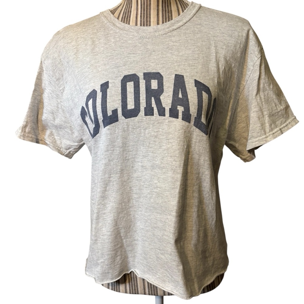 Brandy Melville / John Galt Colorado Tee OSFM Light Gray Cropped Short Sleeves